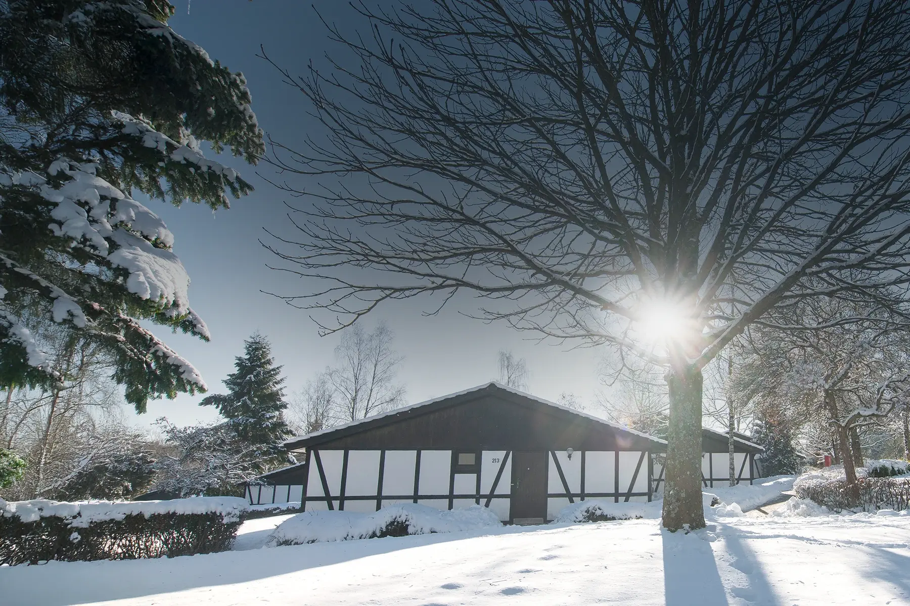 Ferienhaus des Sporthotel Grafenwald in Schneelandschaft mit Sonnenschein