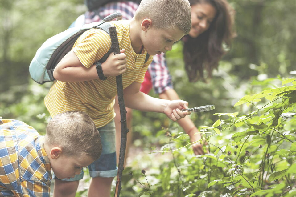 Naturentdecker Kinder entdecken die Natur bei einem Spaziergang vom Sporthotel Grafenwald in den Wald